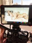 Onlyfans Leaked Photos - Siennasaint - Photos