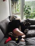 Onlyfans Leaked Photos - Spoiledbratcat - Photos