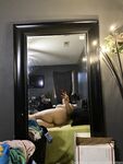 Onlyfans Leaked Photos - Hornythickitten - Photos