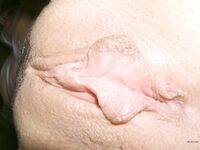 Amateur - Devki Uno 19519 Domashnee Porno So Stroynoy Zhenoy - 19519 Devki So Uno Domashnee Porno Stroynoy Zhenoy Erotic