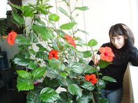 Amateur - Devki Uno 24715 Chastnoe Foto Skromnoy Devki - Foto Devki Skromnoy 24715 Uno Chastnoe Erotic