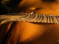 Amateur - Devki Uno 25227 Intimnoe Foto Bryunetki S Vybritym Lobkom - Foto Lobkom Devki Bryunetki S Uno 25227 Vybritym Intimnoe Erotic
