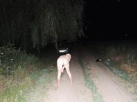 Amateur - Devki Uno 27170 Lyubovnica Poziruet Na Prirode - 27170 Prirode Na Devki Lyubovnica Uno Poziruet Erotic