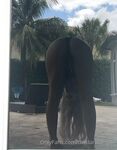 Onlyfans Leaked Photos - Thedandangler - Photos