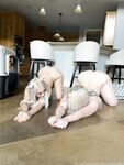 Onlyfans Leaked Photos - Yourpuppygirl - Photos