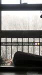 Onlyfans Leaked Photos - Zoeyt123 - Photos
