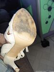 Onlyfans Leaked Photos - Feetbraga - Photos