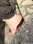 Onlyfans Leaked Photos - Feetbraga - Photos