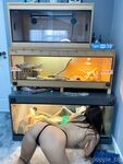 Onlyfans Leaked Photos - Poppie-Blu - Photos