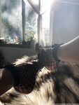 Onlyfans Leaked Photos - Bowdown2Chelsea - Photos