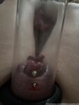 Onlyfans Leaked Photos - Littleruinedcunt - Photos