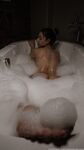 Onlyfans Leaked Photos - Morganveraaxo - Photos