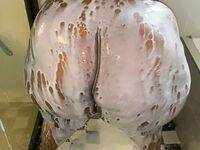 Onlyfans Leaked Photos - Mzkandipear - Photos