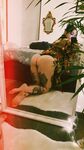 Onlyfans Leaked Photos - Riae - Photos