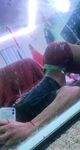 Onlyfans Leaked Photos - Sativavia - Photos