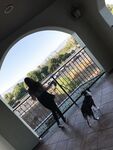 Onlyfans Leaked Photos - Alyssashy - Photos