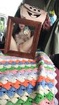 Onlyfans Leaked Photos - Amarnamiller - Photos