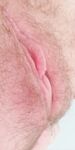 Onlyfans Leaked Photos - Snugglepunk - Photos