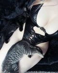 Onlyfans Leaked Photos - Soulxd - Photos