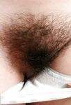 Amateur - Devki Uno 36481 Strana Nebrityh Pisek - Devki 36481 Nebrityh Uno Pisek Strana Erotic