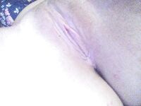 Amateur - Devki Uno 36530 Domashnie Fotki Brjunetki S Tatu - Devki Brjunetki Tatu S Fotki Uno 36530 Domashnie Erotic
