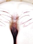 Amateur - Devki Uno 36947 Russkaja Shljuha S Tatu I Volosatoj Pizdoj - Pizdoj Devki 36947 Shljuha Tatu I S Volosatoj Uno Russkaja Erotic
