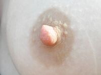 Amateur - Devki Uno 37713 Chastnye Foto - Foto Chastnye Devki Uno 37713 Erotic
