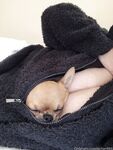 Onlyfans Leaked Photos - Pchan666 - Photos