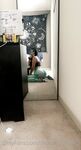 Onlyfans Leaked Photos - Sedusa-Medusa - Photos