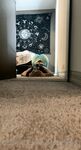 Onlyfans Leaked Photos - Sedusa-Medusa - Photos