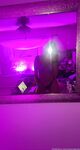 Onlyfans Leaked Photos - Starrygecko - Photos
