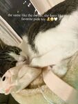 Onlyfans Leaked Photos - Bunnynadja - Photos