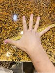 Onlyfans Leaked Photos - Giantessa789 - Photos