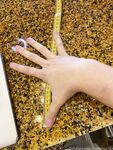 Onlyfans Leaked Photos - Giantessa789 - Photos