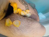 Onlyfans Leaked Photos - Kisafae - Photos
