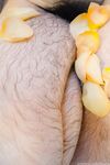 Onlyfans Leaked Photos - Kisafae - Photos