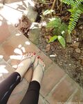 Onlyfans Leaked Photos - Prii_Feet - Photos