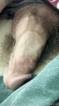 Onlyfans Leaked Photos - Stefanispecial - Photos