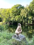 Onlyfans Leaked Photos - Mischagoeswild - Photos