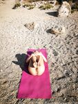 Onlyfans Leaked Photos - Mischagoeswild - Photos