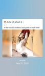 Onlyfans Leaked Photos - Bellatrixsweets Photo - Bellatrixsweets Photo Photos