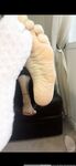 Onlyfans Leaked Photos - Atoesies Photo - Atoesies Photo Photos