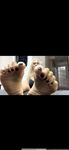 Onlyfans Leaked Photos - Atoesies Photo - Atoesies Photo Photos