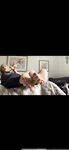 Onlyfans Leaked Photos - Atoesies Photo - Atoesies Photo Photos