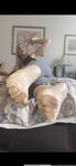 Onlyfans Leaked Photos - Atoesies Photo - Atoesies Photo Photos
