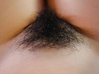 Onlyfans Leaked Photos - Fruitsforbats Photo - Fruitsforbats Photo Photos