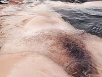 Onlyfans Leaked Photos - Eroicaforest Amateur - Amateur Photos Eroicaforest