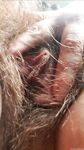 Onlyfans Leaked Photos - Eroicaforest Amateur - Amateur Photos Eroicaforest