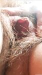 Onlyfans Leaked Photos - Eroicaforest Amateur - Amateur Photos Eroicaforest