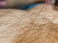 Onlyfans Leaked Photos - Eroicaforest Amateur - Amateur Photos Eroicaforest